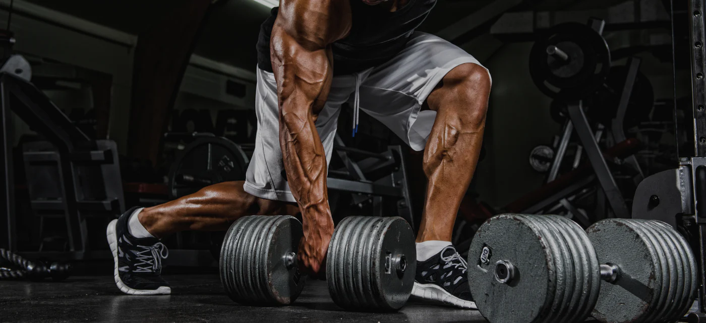 Engineered for Peak Human Performance